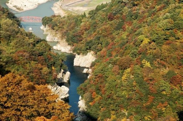 【紅葉・見ごろ】神通峡