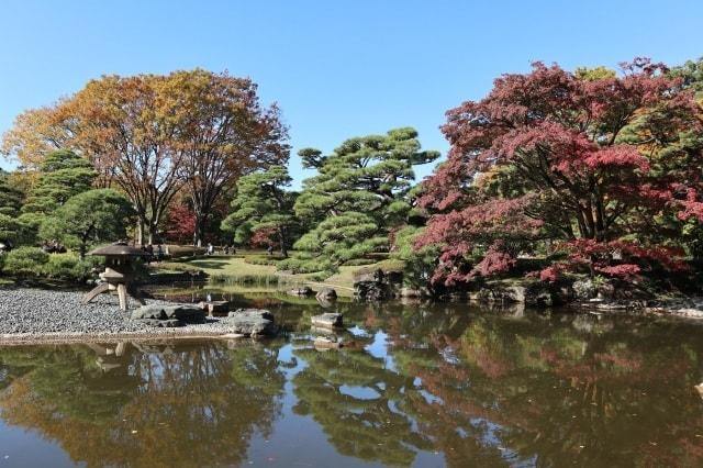 【紅葉・見ごろ】皇居東御苑