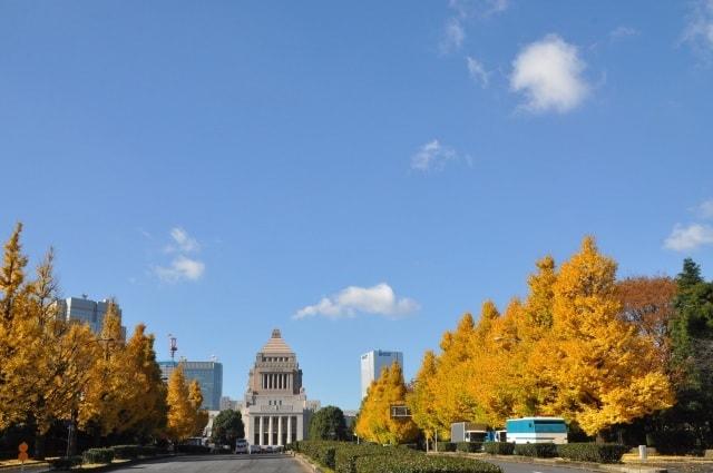 【紅葉・見ごろ】国会議事堂