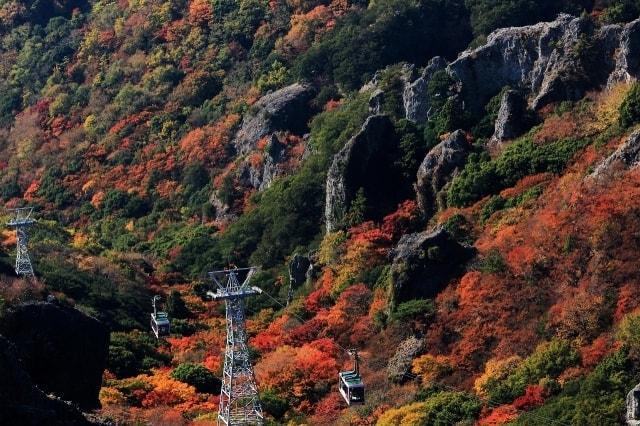 【紅葉・見ごろ】寒霞渓