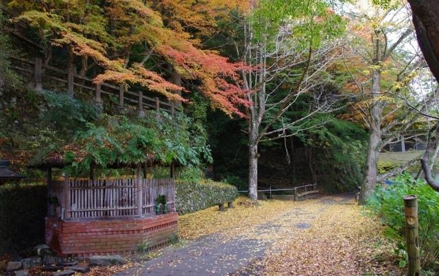 【紅葉・見ごろ】塩江温泉郷