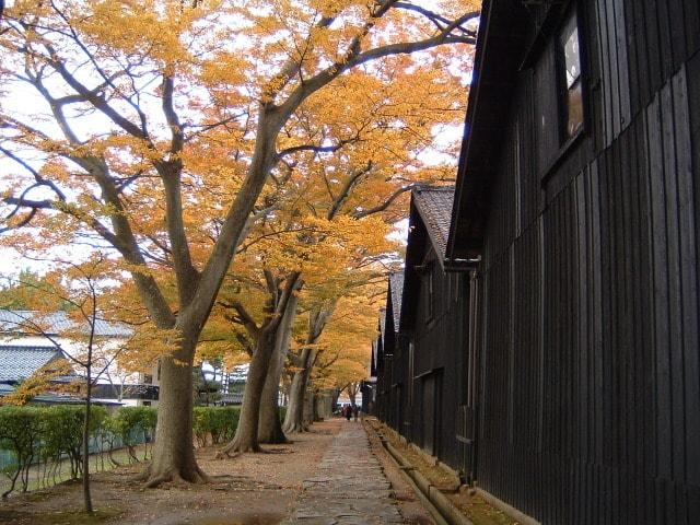 【紅葉・見ごろ】山居倉庫