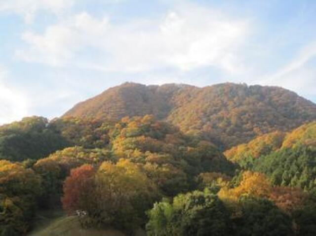 【紅葉・見ごろ】二上山