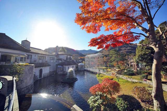 【紅葉・見ごろ】箱根ガラスの森美術館