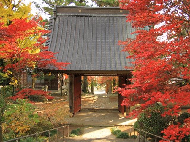 【紅葉・見ごろ】奥大井南部