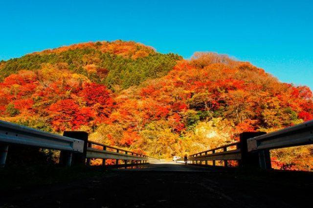 【紅葉・見ごろ】龍神峡