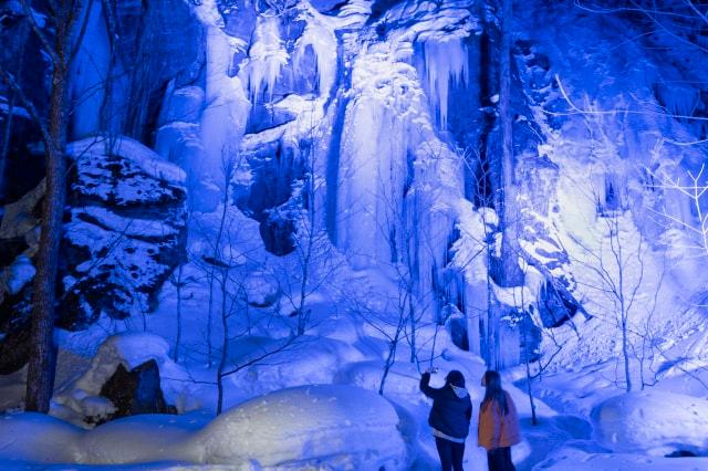 冬の奥入瀬ナイトツアー（十和田湖発着）