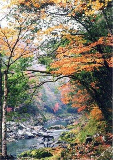 【紅葉・見ごろ】長門峡