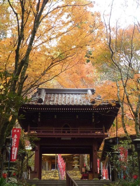 【紅葉・見ごろ】龍蔵寺