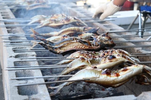 ギョギョっとお魚まつり