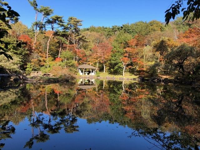 【紅葉・見ごろ】塩嶺御野立公園