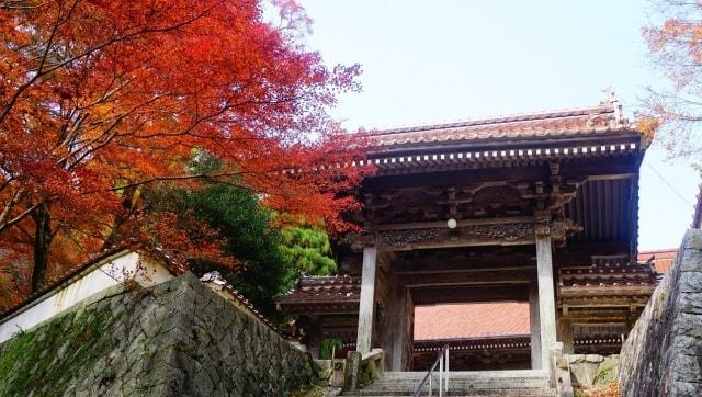 【紅葉・見ごろ】西念寺