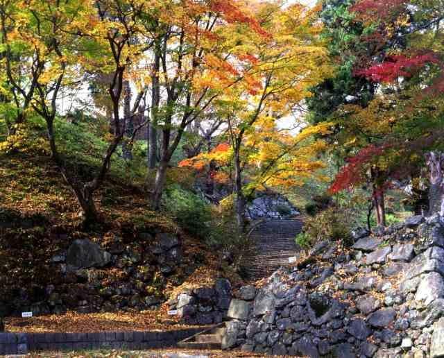 【紅葉・見ごろ】亀ヶ城公園