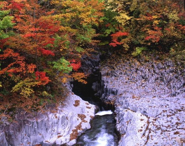 【紅葉・見ごろ】中津川渓谷