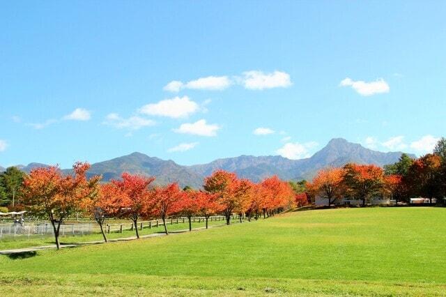 【紅葉・見ごろ】八ヶ岳中央農業実践大学校