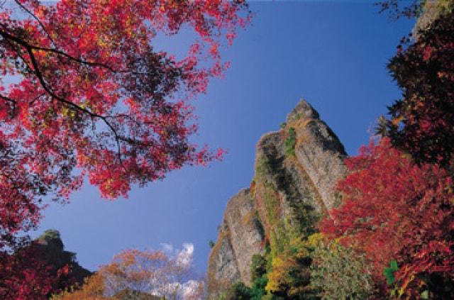 【紅葉・見ごろ】黒髪山（乳待坊公園）