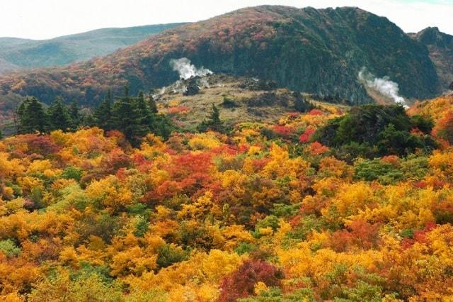 【紅葉・見ごろ】栗駒山（須川高原）