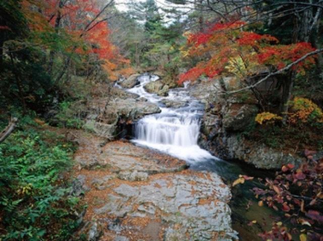 【紅葉・見ごろ】小黒滝