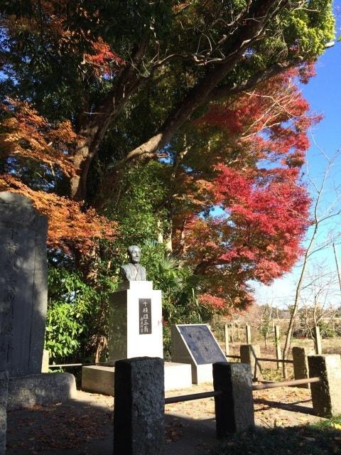 【紅葉・見ごろ】十枝の森