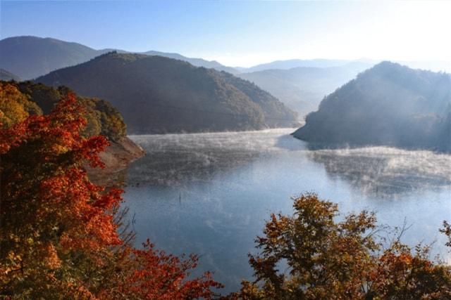 【紅葉・見ごろ】御母衣ダム