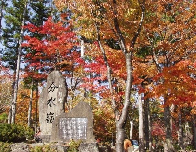 【紅葉・見ごろ】ひるがの高原