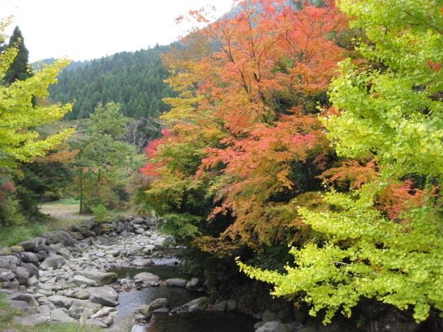 【紅葉・見ごろ】上津江フィッシングパーク