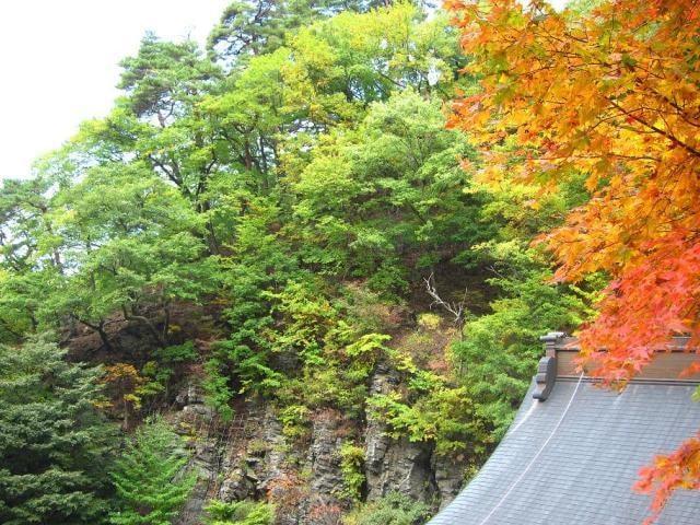 【紅葉・見ごろ】唐沢山・阿弥陀寺