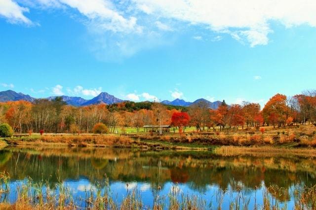 【紅葉・見ごろ】八ヶ岳自然文化園