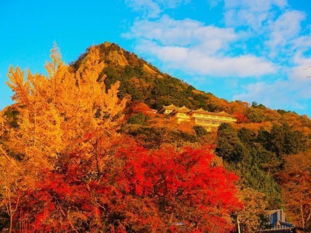 【紅葉・見ごろ】太郎坊宮・阿賀神社