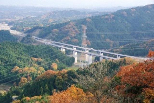 【紅葉・見ごろ】庚申山広徳寺