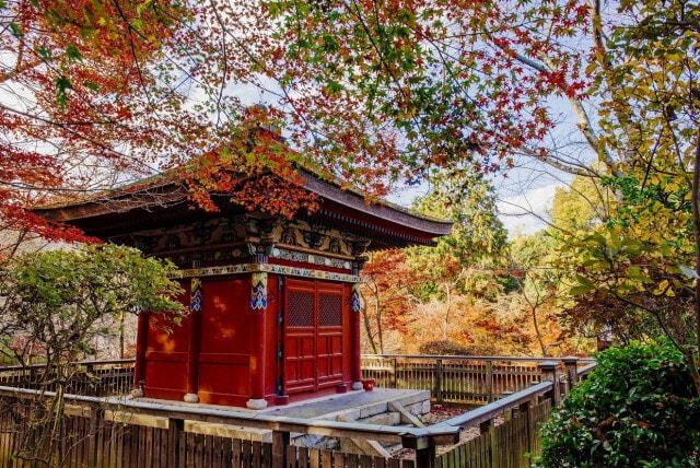 【紅葉・見ごろ】三井寺（園城寺）