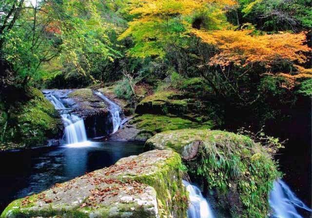 【紅葉・見ごろ】赤目四十八滝