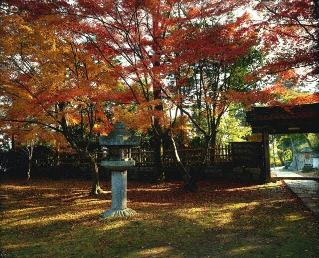 【紅葉・見ごろ】慈眼堂