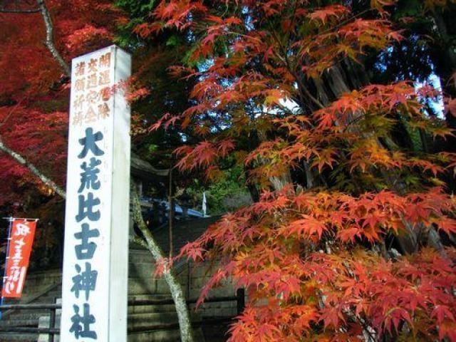 【紅葉・見ごろ】大荒比古神社