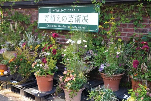 寄植えの芸術展