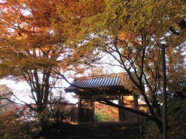 第24回宝の山 高良山もみじ狩り祭り