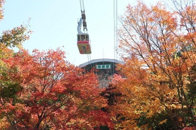 【紅葉・見ごろ】別府ロープウェイ