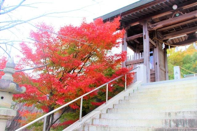 【紅葉・見ごろ】白山