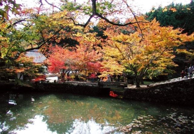 【紅葉・見ごろ】円通寺