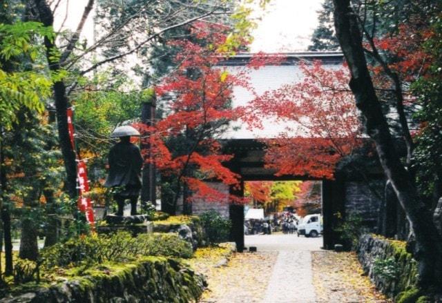 【紅葉・見ごろ】石龕寺