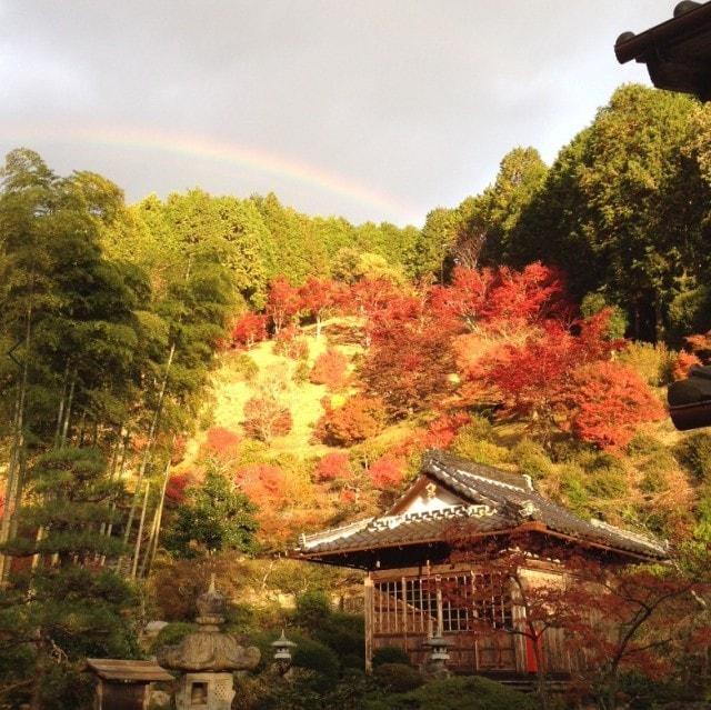 【紅葉・見ごろ】達身寺