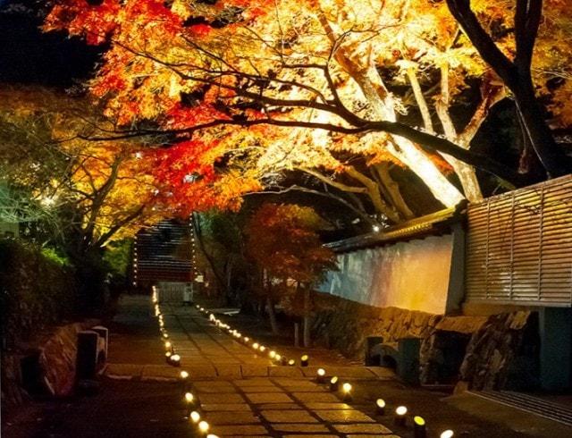 【紅葉・見ごろ】満願寺