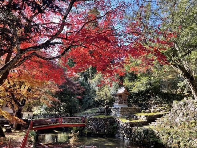 【紅葉・見ごろ】玉龍寺