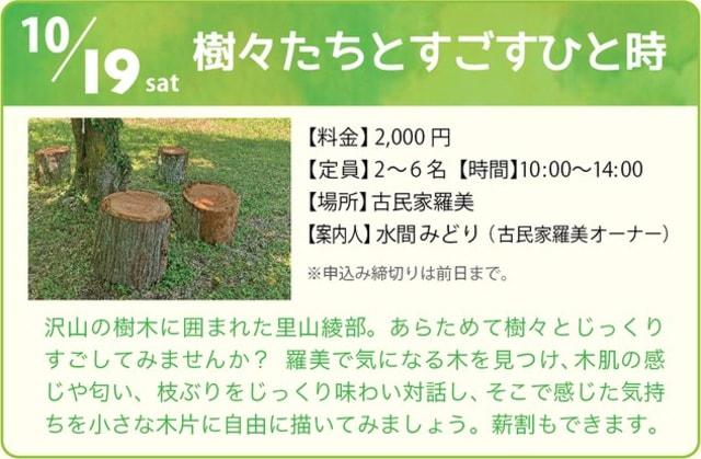 あやべなまち旅2024〜樹々たちとすごすひと時