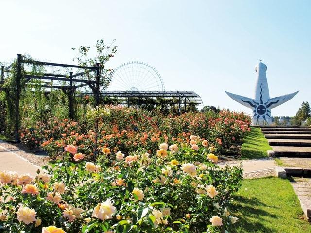 万博記念公園　秋のローズフェスタ