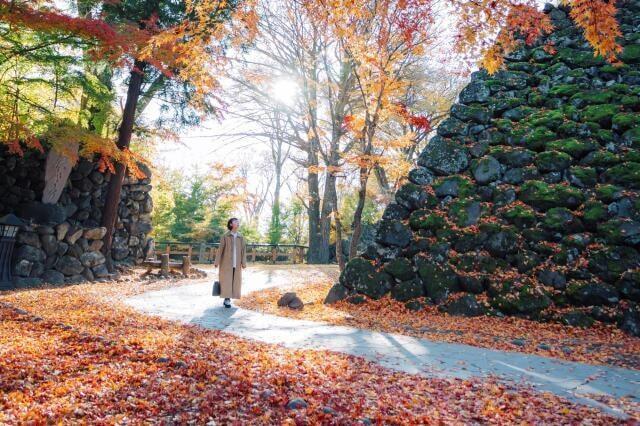 小諸城址 懐古園 紅葉まつり