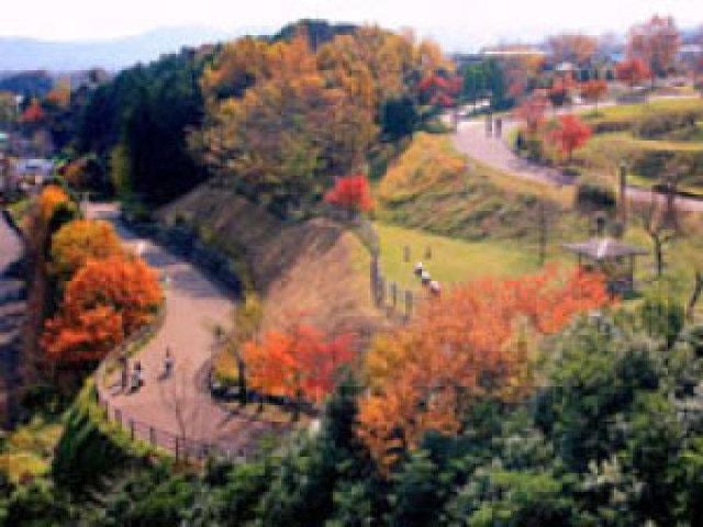 【紅葉・見ごろ】秦野戸川公園