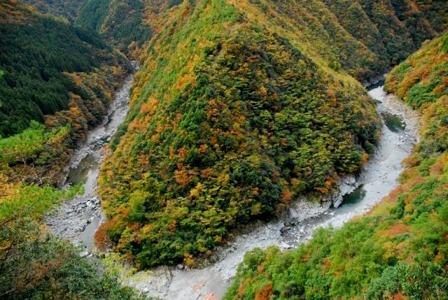 【紅葉・見ごろ】祖谷渓