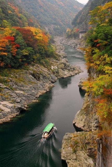 【紅葉・見ごろ】大歩危峡・小歩危峡