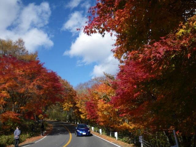 【紅葉・見ごろ】日塩もみじライン